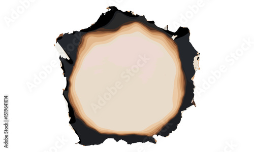 Paper burnt hole texture, clipping path, background design, rough edges, weathered paper, vector illustration, vintage style paper, old paper texture, creative paper art.