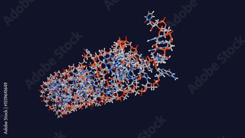 Pre-microRNA stick filling style, solution structure. 
MicroRNA is an  essential post-transcriptional regulator of gene expression and also an oncogene.