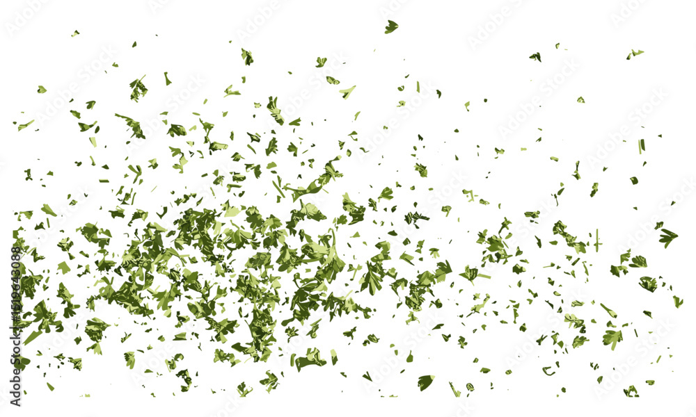 Chopped dry parsley leaves flying, isolated on white, vector illustration, culinary herb, parsley herb, flying parsley leaves, fresh parsley, herbs, green leaves, cooking ingredients. Chopped dry parsley leaves flying, isolated on white, vector illustration, culinary herb, parsley herb, flying parsley leaves, fresh parsley, herbs, green leaves, cooking ingredients.