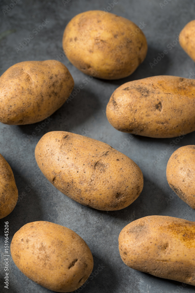 Raw Organic Brown Russet Potatoes Raw Organic Brown Russet Potatoes