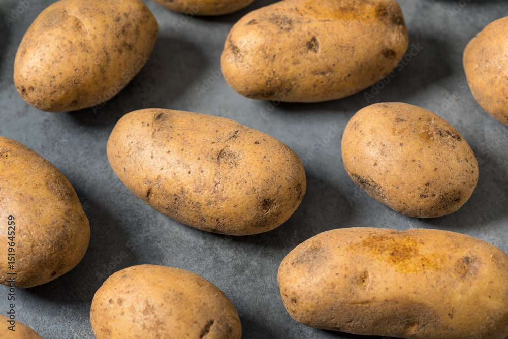 Raw Organic Brown Russet Potatoes Raw Organic Brown Russet Potatoes