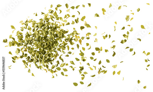 Dried oregano leaves pile, close up isolated on white, chopped oregano, fresh herbs, herb leaves, culinary seasoning, aromatic oregano, top view, organic herbs, vector illustration.