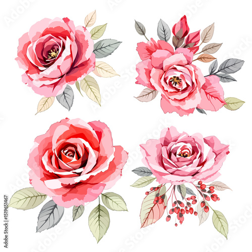 Watercolor rose flower clipart. Watercolour floral illustration