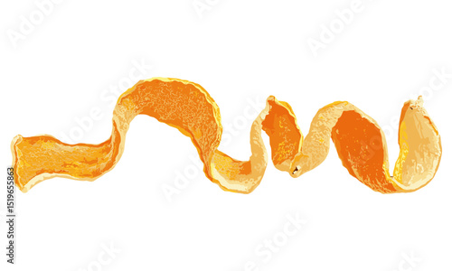 Curly dried orange peel isolated on white background, vector illustration, citrus fruit, orange peel texture, natural pattern, botanical illustration, organic design, peel art.