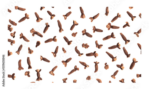 Syzygium aromaticum spice pattern, dry cloves isolated on white, vector illustration, herbal medicine, cloves aroma, cooking herbs, kitchen decoration, natural spice design.