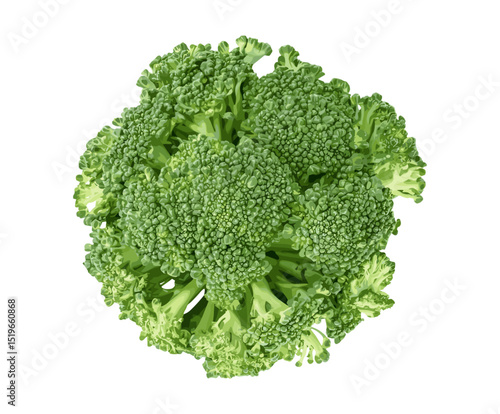 Top view of fresh broccoli isolated on white, vector illustration, organic produce, healthy food, fresh vegetables, green vegetable, raw broccoli, health nutrition, vegetarian diet, farm fresh.