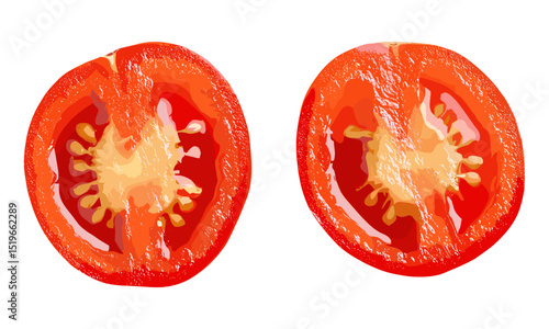 Fresh red tomato slice isolated on white background, top view, vector illustration, healthy food concept, ripe tomato, culinary ingredients, vegetable slice, fresh produce.