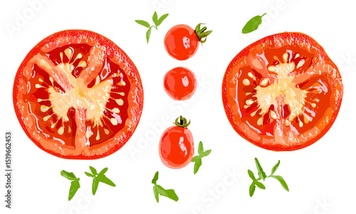 Red tomato slice isolated on white, top view, vector illustration, fresh vegetables, healthy eating, organic food, ripe tomato, nutrition, cooking ingredient.