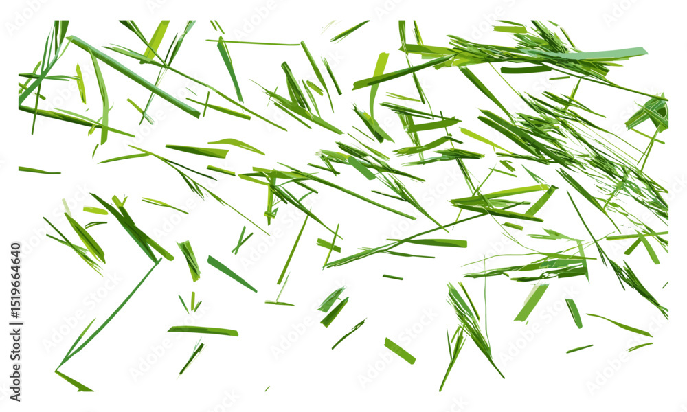 Wild grass isolated on white background, green texture, top view, vector illustration, grass texture, plant design, nature, outdoor elements, natural beauty, organic vegetation. Wild grass isolated on white background, green texture, top view, vector illustration, grass texture, plant design, nature, outdoor elements, natural beauty, organic vegetation.