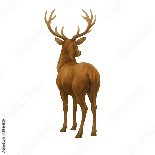 Vector freehand watercolor brown deer rear view illustration isolated on white background. Hand drawn watercolour reindeer.	
