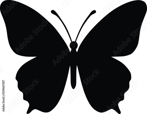 butterfly vector illustration