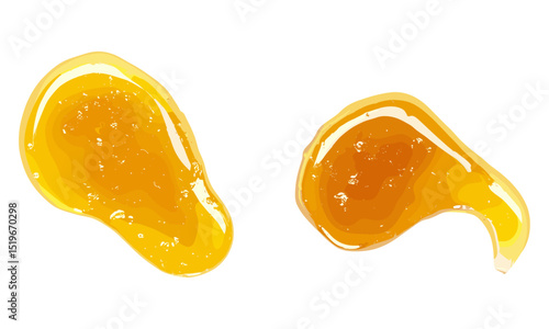 Honey isolated on white, top view, vector illustration, organic honey, sweet honey jar, natural honeycomb, liquid honey, healthy sweetener, sugar alternative.