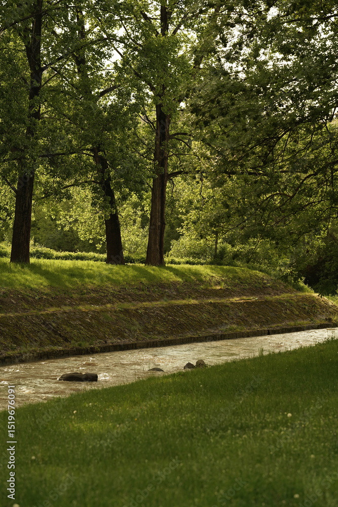 Obraz premium path in the park