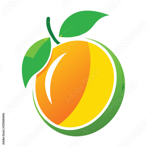 orange fruit vector illustration