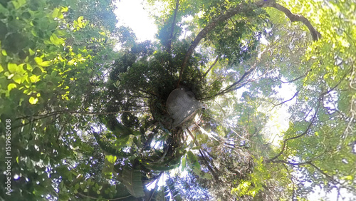 JARDIM EM CURITIBA - MINIMUNDO