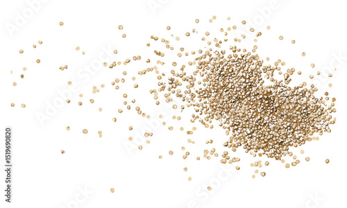 Raw quinoa seeds scattered on white background, top view, isolated quinoa grains, healthy food vector illustration, raw seeds, nutritious grains, superfood, quinoa texture, isolated food.