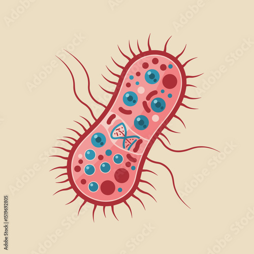 Colorful illustration of a bacterium showcasing its internal structure and features