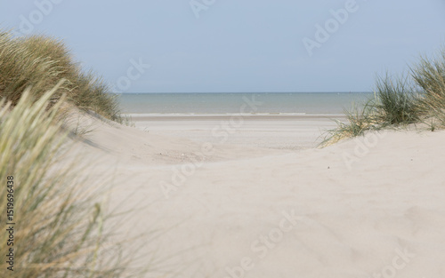Fotografie sand dunes on the beach