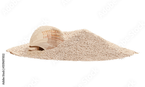 Sand pile with sea shell isolated on white, vector illustration, beach shells, coastal style, ocean, seaside, nature beauty, marine life, tropical, natural decoration.