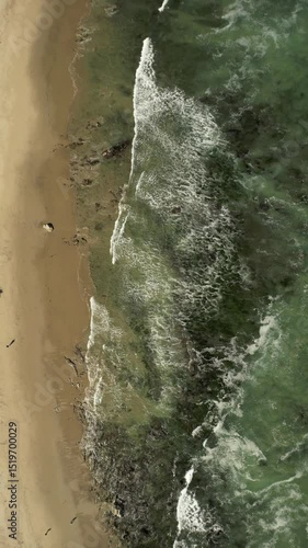 The drone footage shows a view of the ocean with lots of algae, the camera moves away from the ocean, and you can see the ocean crashing into the sand and flowing away.