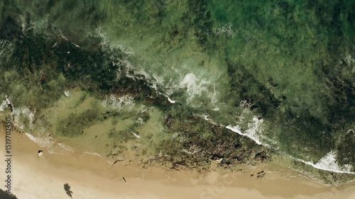 Algae-polluted stormy ocean spilling over the sand on the beach, a view of the ocean from a drone survey.
