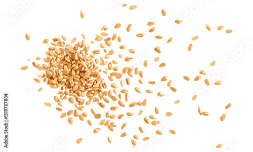 Wheat kernels, top view, grains pile isolated on white, vector illustration, healthy food, agriculture produce, natural wheat, organic grains, farm harvest, sustainable agriculture.