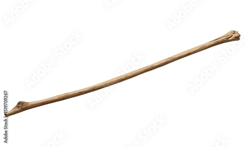 Wooden stick isolated on white, vector illustration, natural texture, minimalist design, nature element, wood texture, rustic decor, organic shape, wooden material, clean background.