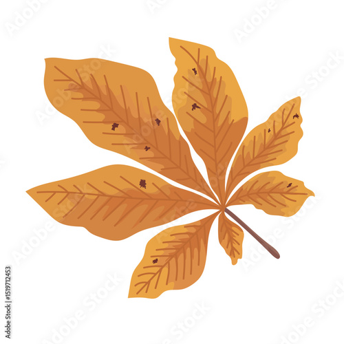 Horse chestnut. Autumn, fall. Flat vector clipart, illustration with isolated background.