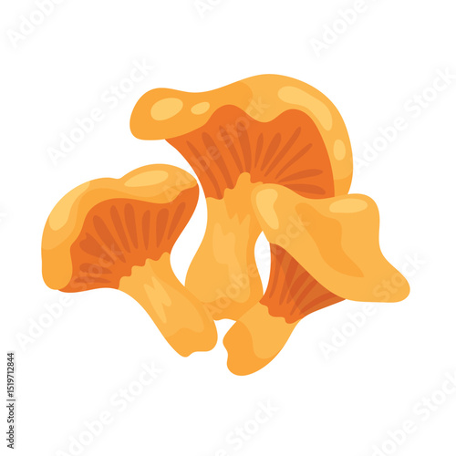 Chanterelle mushroom. Autumn, fall. Flat vector clipart, illustration with isolated background.