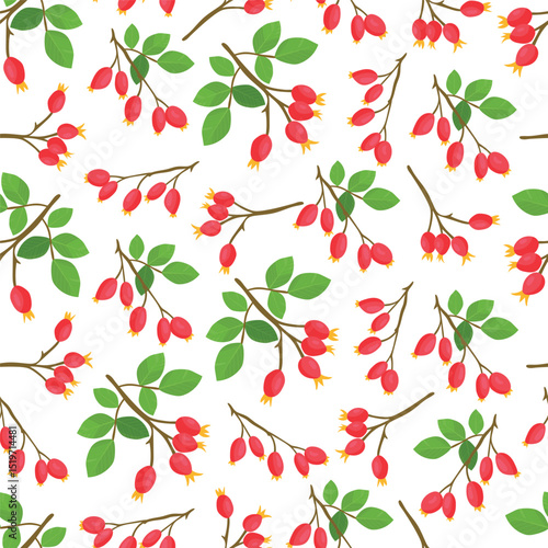 Rose hip branch. Autumn, fall seamless pattern. Flat vector clipart, illustration with isolated background.