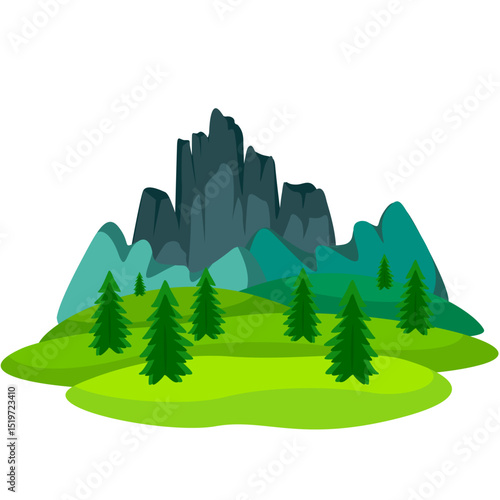 forest in the mountains