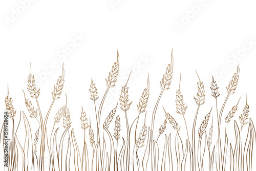 Wheat field background. Black silhouettes on white. Vector illustration.