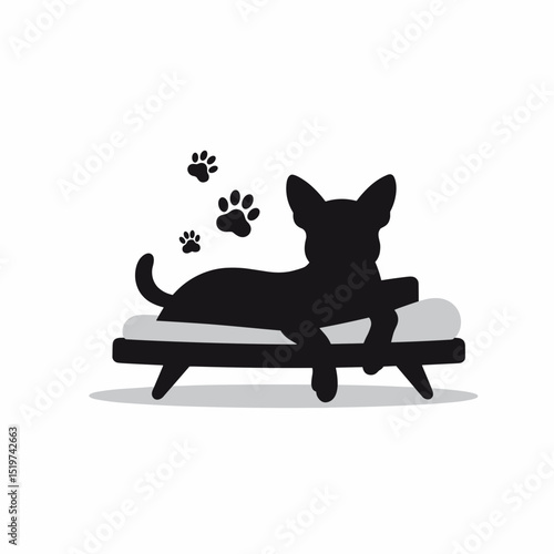 Black silhouette chihuahua dog resting on pet bed.  Small dog breed relaxing on comfortable pet bed with soft pillow.
