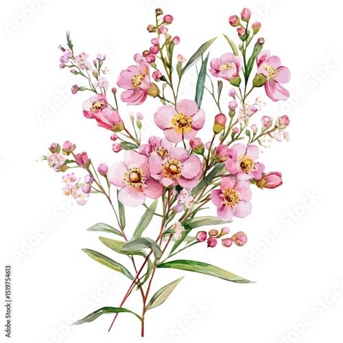 A Waxflower Bouquet, watercolor clipart vector, high quality, isolated on a white background.