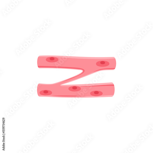 muscle cell illustration
