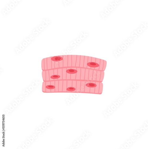 muscle cell illustration