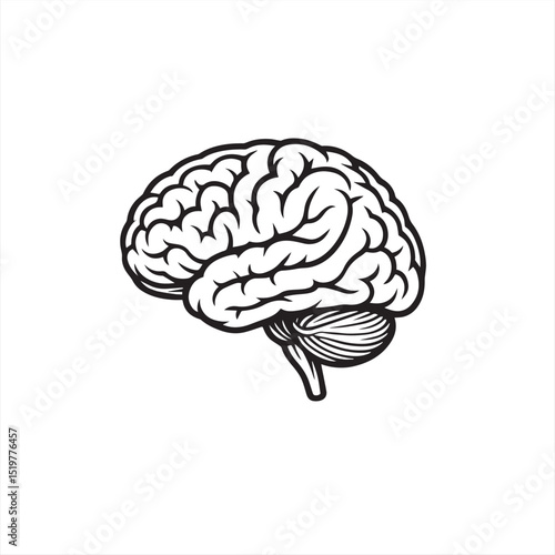 human brain vector illustration