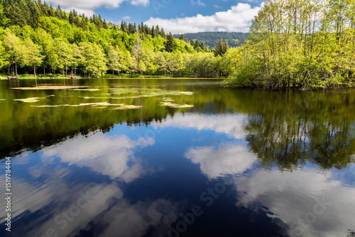 the wooded banks of Lake Picades, in Aubrac