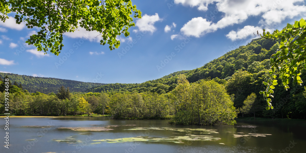 Obraz premium the wooded banks of Lake Picades, in Aubrac