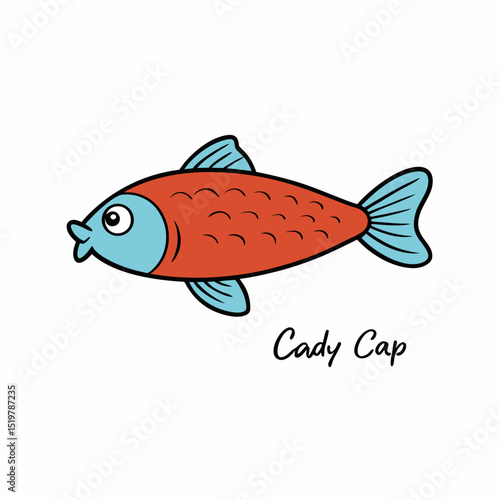 fish on a white background