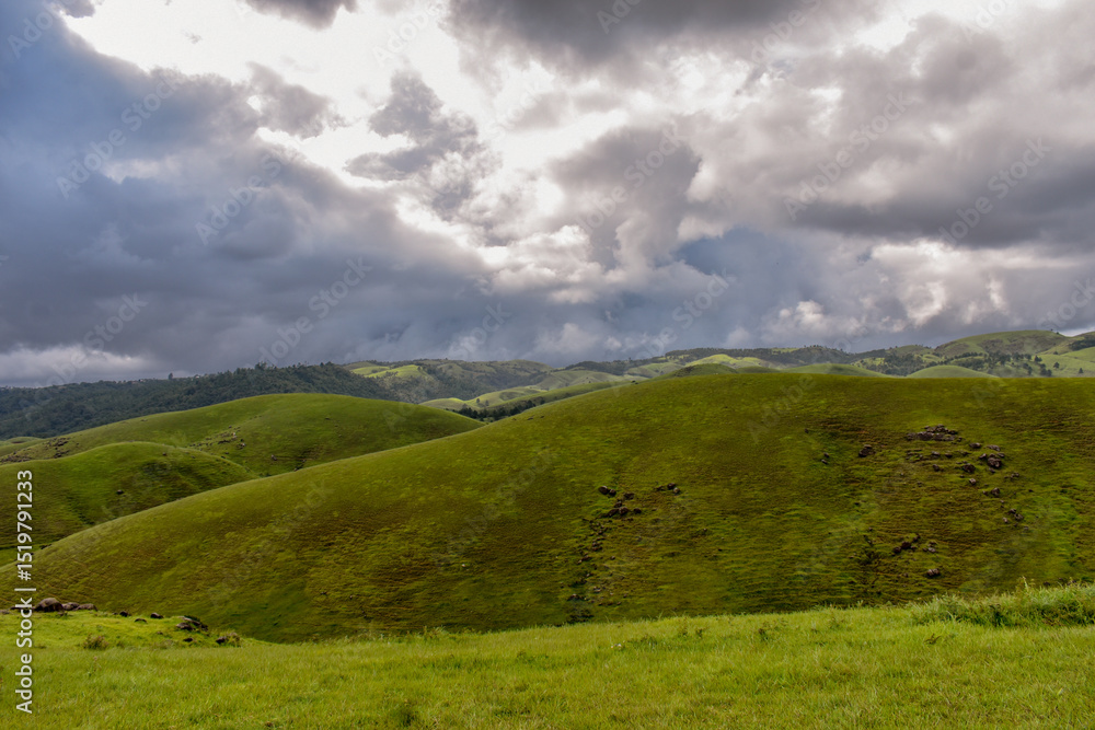 Obraz premium Rolling green hills and dense forests stretch towards a cloudy sky, showing rural landscape of Mawlangkhar, Meghalaya.