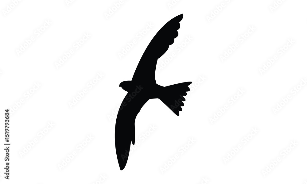 Fototapeta premium Flying Alpine swift bird Silhouette Design And Vector Illustration. 