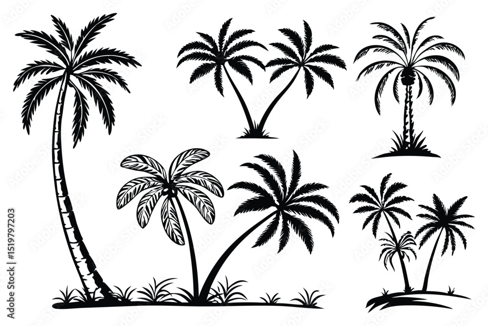 Obraz premium Palm tree shapes in various styles – tropical landscape and paradise decoration