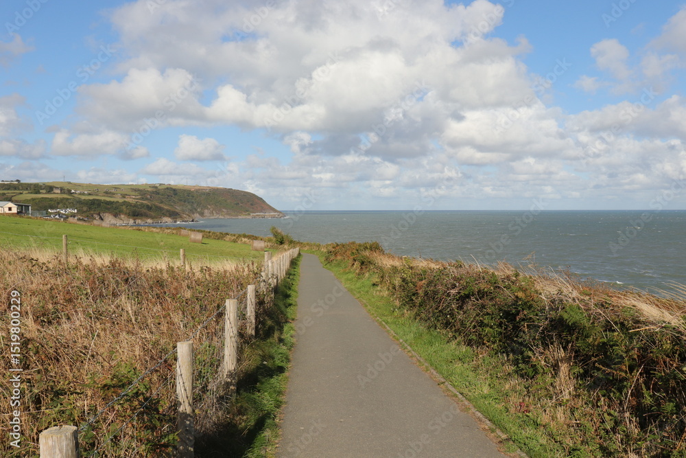 Fototapeta premium Wales coastal path in Aberporth