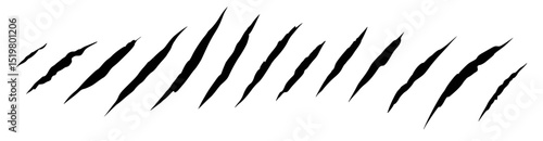 Black scratches or claw marks on white background