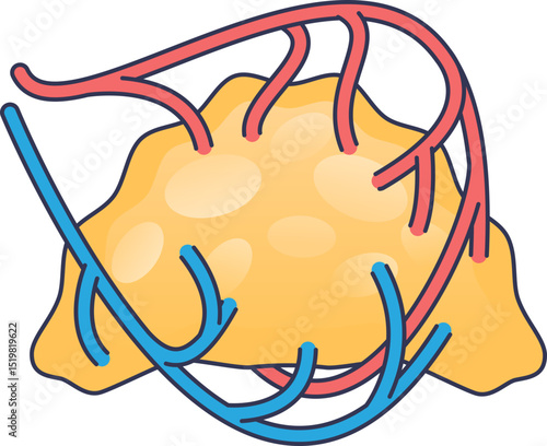 Illustration of blood vessels surrounding a yellow mass, symbolizing a blood vessel network.