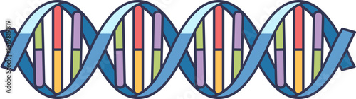 Colorful DNA helix symbolizing genetic blueprint and biological information.