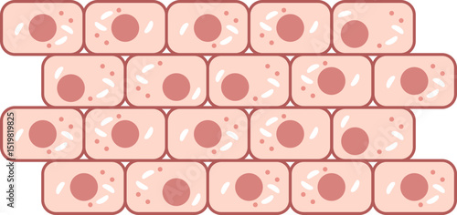 Konstfotografi Illustration of healthy cells in a structured pattern, symbolizing robust body tissue