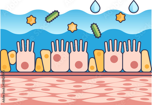 Illustration of mucous barrier with cells, bacteria, and water droplets, symbolizing protection.