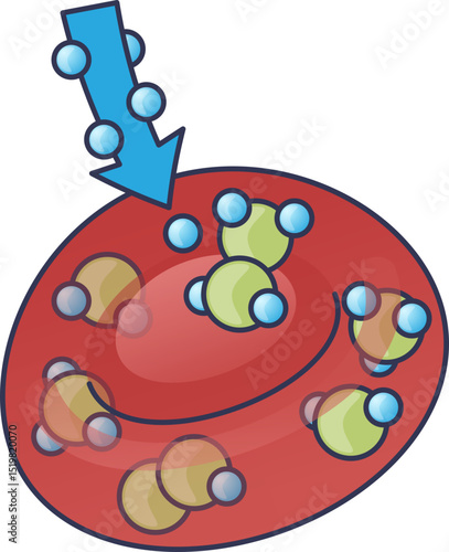 Illustration of oxygen molecules entering a red blood cell, symbolizing oxygen transport in the body.